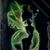 Dawn LaTurneau's profile image