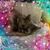 Nancy Leetts's profile image