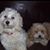 Leslie Kay Silverberg's profile image