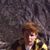 Jesse Gresham's profile image