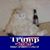 Craig Arnold's profile image
