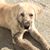 Russell Wilke's profile image