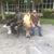 Linda Damcott's profile image
