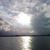 Cheryl Gallagher-tribett's profile image