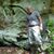 Phillip Gaver's profile image