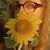 Haley Morgan's profile image