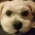 Carey Payan's profile image
