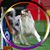 Sarah Hoke's profile image
