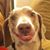 Wook Wasser's profile image