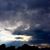 Stacys Ridgley Murphy's profile image
