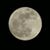 Miguel Angel Aguirre's profile image