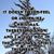 Lisa McCraw McCluey's profile image