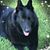 Sylvia Adams Kraft's profile image