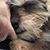 Cindy LeDoux's profile image