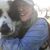 Julie Symons's profile image