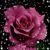 Rachel Peer's profile image