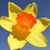 Jackie Barbara Wolfe's profile image