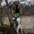 Caroline Rawlins's profile image