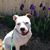 Janice Jackson's profile image