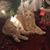 Judy Hull Friese's profile image