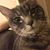 Katrina McGlone's profile image