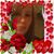 Kim Reeder's profile image
