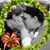 Paula Kay Leigh Seymour's profile image