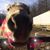 Aby Budziszewski's profile image