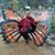 Elizabeth Huss's profile image