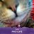 Susan Lacy's profile image