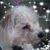 Carol Rolin's profile image