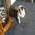 Barbara Washburn's profile image
