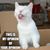 Kimber Ly's profile image