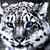 Adrik Najarian's profile image