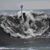 Patrick Pender's profile image