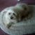 Elaine Trimber-Fracek's profile image