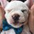 Kelly Snee McDonald's profile image