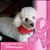 Gloria Vadillo's profile image