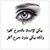 Shaza Eltayeb's profile image