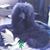 Sarah Davis's profile image