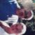 Trish Dotson's profile image