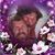 Donna Procter Judd's profile image