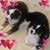 Valerie Maria's profile image