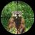 Tim Wolfe's profile image