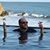 Bruce Hood's profile image
