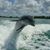 Marie Ciaccio's profile image