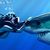 Karen Hylock's profile image