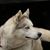 Jackie Yoder Baker's profile image