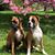 Jayne Williams's profile image