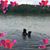 Tabitha Dacus's profile image